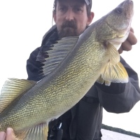 Fishing Updates leading into July - LSC Walleye and some other Fishing