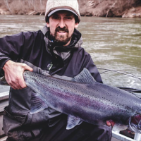 Freshwater Bites podcast: Spring Steelhead with Dan Stewart of Chrome Seekers Sportfishing
